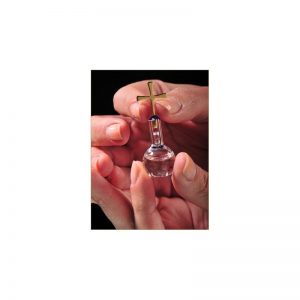 Empaque de lujo con burbuja base plana con agua del río Jordán, oro laminado 24k-101