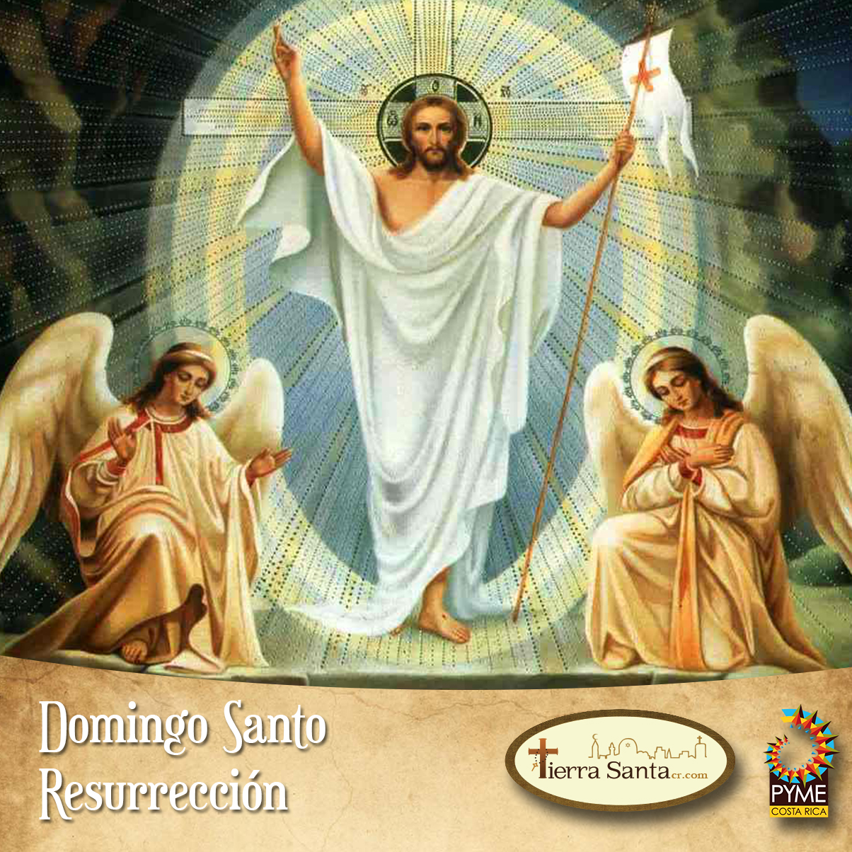 Domingo de Resurrección – Tierra Santa Para Todos